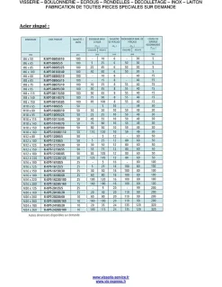 Goujon Ancrage R-XPT M8X115 Acier zingué - 100 pièces-Vis Express Outlet