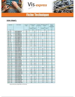 Goujon Ancrage R-XPT M6X85 Acier zingué - 30 pièces-Vis Express Best