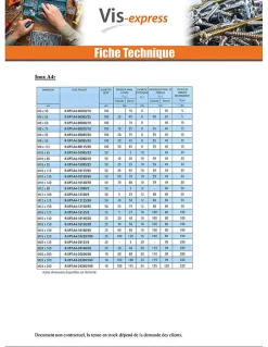 Goujon Ancrage R-XPT M6X85 Acier zingué - 1 pièce^Vis Express Clearance