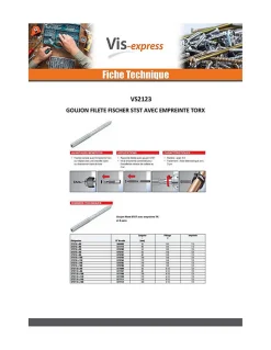 Goujon fileté STST TORX T25 Acier zingué 8X120 - 100 pièces-Fischer Discount