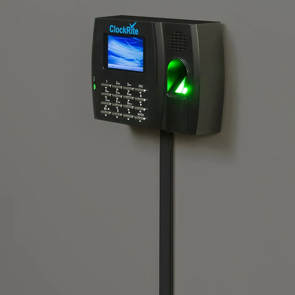 Goulotte décorative demi-ronde noire auto-adhésive 16 x 8 mm, 1 m^D-Line New