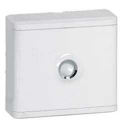 Habillage + porte pour platine de branchement DRIVIA^Legrand Discount
