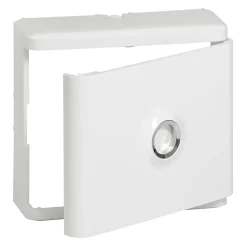 Habillage + porte pour platine de branchement DRIVIA^Legrand Discount
