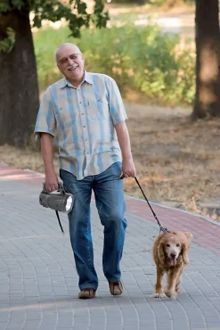 ICARO: Phare rechargeable LED 3W-Velamp Discount