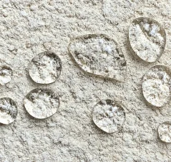 ImperGuard Ultra 4 en 1 Imperméabilisant HydrofugeAnti Dépôts Verts Durcisseur Certifié Contact Alimentaire 5L 40 m2^Guard Industrie Hot