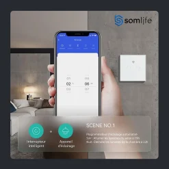 Interrupteur connecté tactile double application tuya smart life Compatible avec Alexa/Google Home^Somlife New