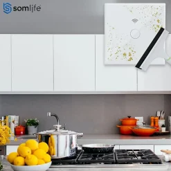 Interrupteur connecté tactile double application tuya smart life Compatible avec Alexa/Google Home^Somlife New