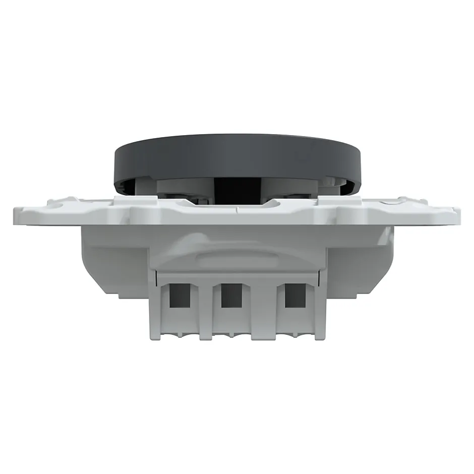 Interrupteur poussoir 10A Ovalis anthracite-Schneider Electric Online