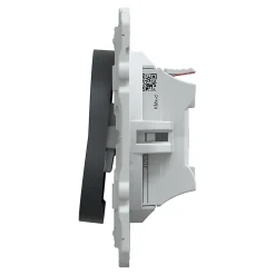 Interrupteur poussoir 10A Ovalis anthracite-Schneider Electric Online