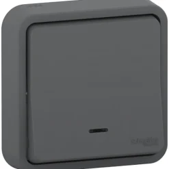 Interrupteur poussoir lumineux étanche complet encastré Mureva Styl anthracite-Schneider Electric Clearance