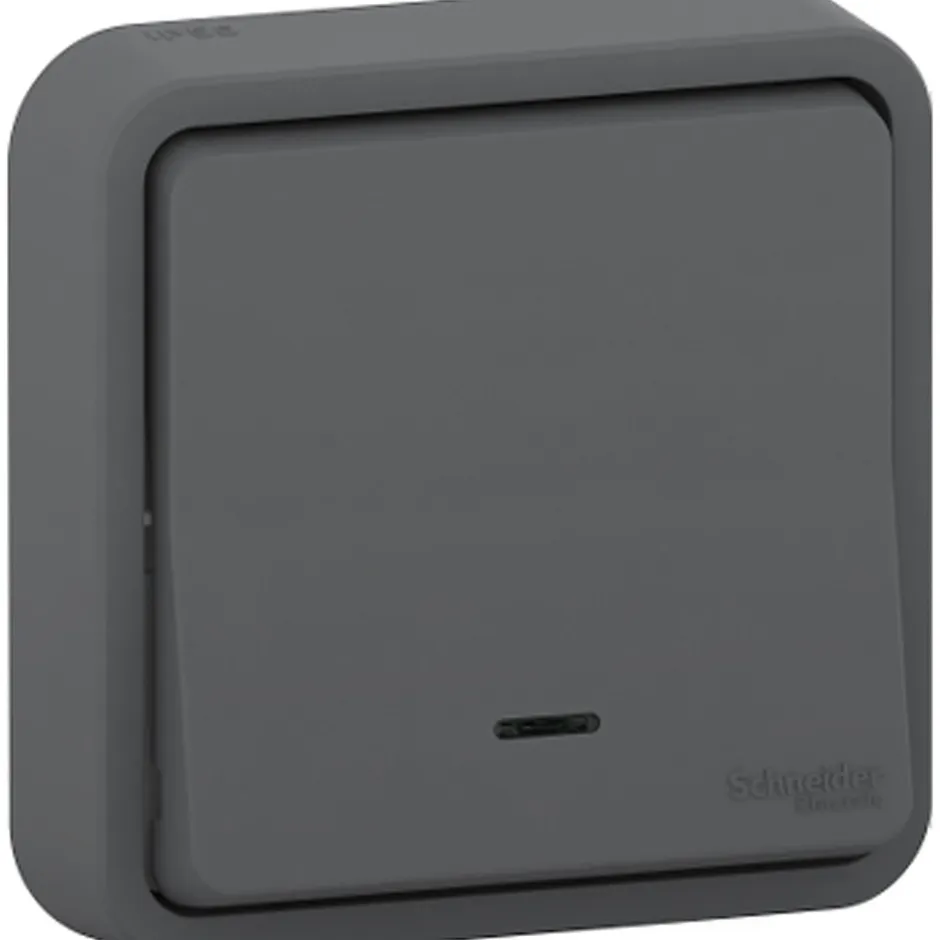 Interrupteur poussoir lumineux étanche complet encastré Mureva Styl anthracite-Schneider Electric Clearance