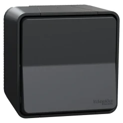 Interrupteur poussoir étanche complet saillie Mureva Styl anthracite-Schneider Electric