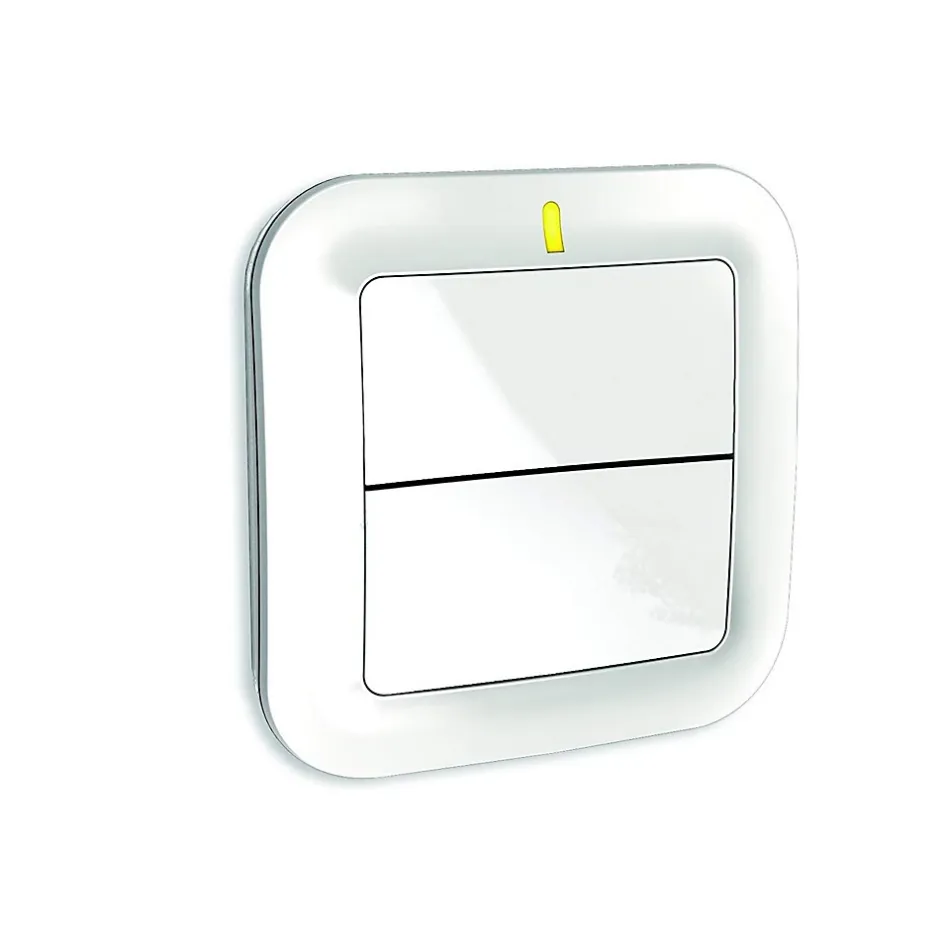 Interrupteur Sans Fil éclairage-volet^Delta Dore Outlet