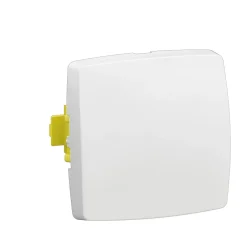 Interrupteur simple pour moulure à composer blanc-Legrand Best