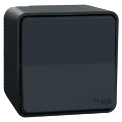 Interrupteur va-et-vient étanche complet saillie Mureva Styl anthracite^Schneider Electric Outlet