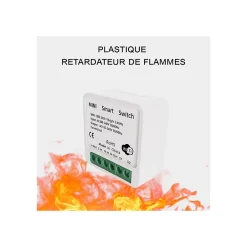 Interrupteurs intelligent WiFi 16A MiniSmart Switch Wi-Fi connecté,application Tuya/SmartLife,Alexa,Google Home^Somlife