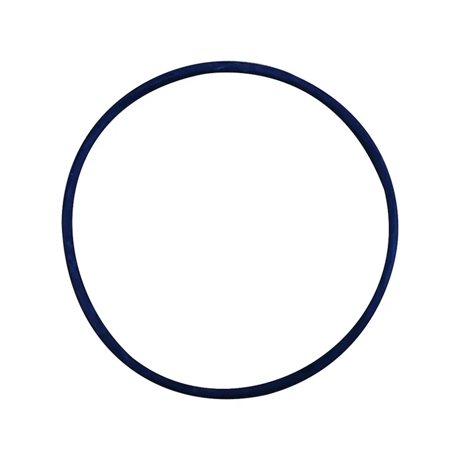 Joint Torique De Raccord Nw800^Cintropur New