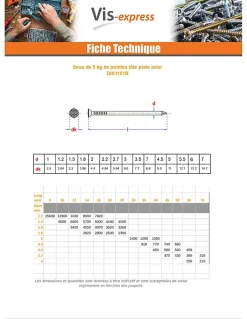 Kg de pointes Acier brut Tête plate 5X110 - 5 pièces^Vis Express Online