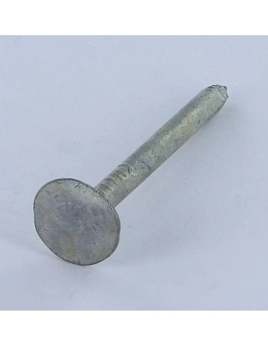 Kg de pointes ARDOISE Tête extra large TEL 2.7X30 Diamètre de tête: 11 Forte tenue à la corrosion Acier galvanisé - 5 pièces-Vis Express Best