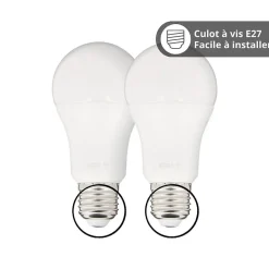 - Pack de 2 Ampoules LED connectées A60, culot E27, RVB avec télécommande connectée - KPACK2EE806GRVBCCT-Kozii Hot