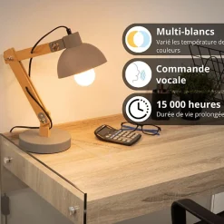 - Pack de 2 Ampoules LED connectées A60, culot E27, CCT avec prise connectée - KPACK2EE806GCCTPR^Kozii Sale