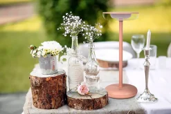 Lampe de table à accu PASI intérieur extérieur métal plastique rose intensité variable tactile fonction mémoire hauteur 26cm-Näve Clearance