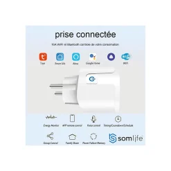 Lot 4 prises connectées application tuya smart life controle de consomation Compatible avec Alexa/Google Home-Somlife Best