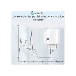 Lot 4 prises connectées application tuya smart life controle de consomation Compatible avec Alexa/Google Home-Somlife Best