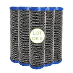 Lot de 5 Cartouches 2 en 1 Filtre à Eau 9 pouces 3/4 - Anti sédiments + Charbon actif 5 microns Fabriqué en France-Toodo Online