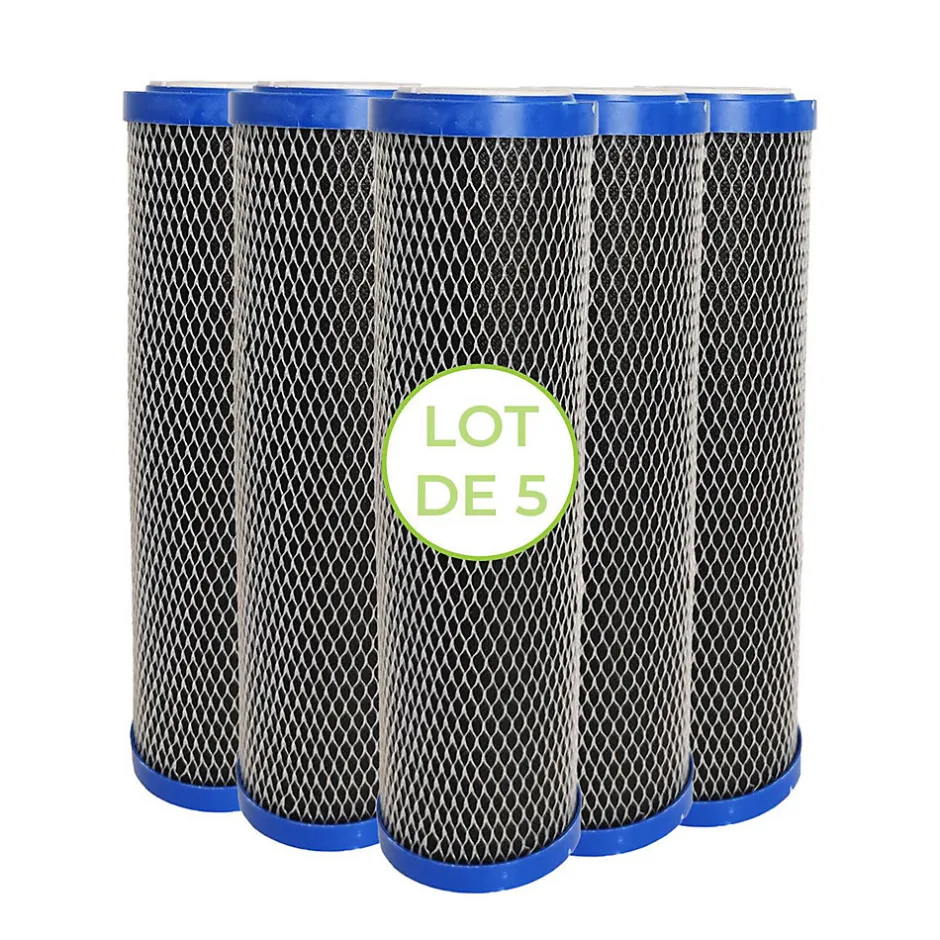 Lot de 5 Cartouches 2 en 1 Filtre à Eau 9 pouces 3/4 - Anti sédiments + Charbon actif 5 microns Fabriqué en France-Toodo Online