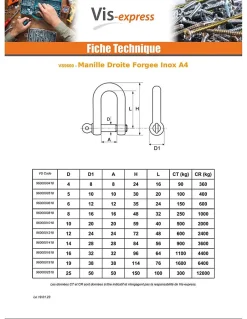 Manille Droite Forgée Inox A4 Diamètre 4 - 10 pièces-Vis Express Best