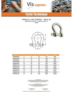 Manille LYRE Forgée Inox A4 Diamètre 10 - 1 pièce-Vis Express Outlet
