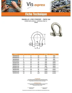Manille LYRE Forgée Inox A4 Diamètre 4 - 10 pièces^Vis Express Sale