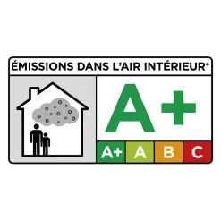 Mastic Colle MS Polymère, étanchéité des sols et murs : ARCAMASTIC POLYMÈRE Transparent - 290 ml x 1 -^Arcane Industries Outlet