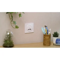 Mécanisme double chargeur usb A + C 12W Odace blanc-Schneider Electric Hot