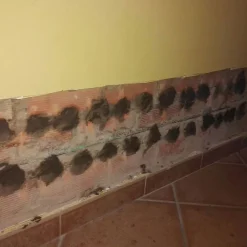 Mortier sec anti-sel (20 kg). Crée une couche isolante sur le mur qui empêche l'apparition de taches de sel causées par l'humidité-Idroless Sale