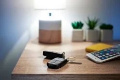 Motorisation de portail coulissant SlidyMoove 300^Somfy Outlet