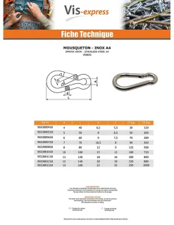 Mousqueton Inox A4 Diamètre 7 - 10 pièces-Vis Express Hot