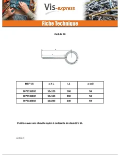 Oeillet Echafaudage 12X160 Oeil 50 Acier zingué - 1 pièce^Vis Express Hot