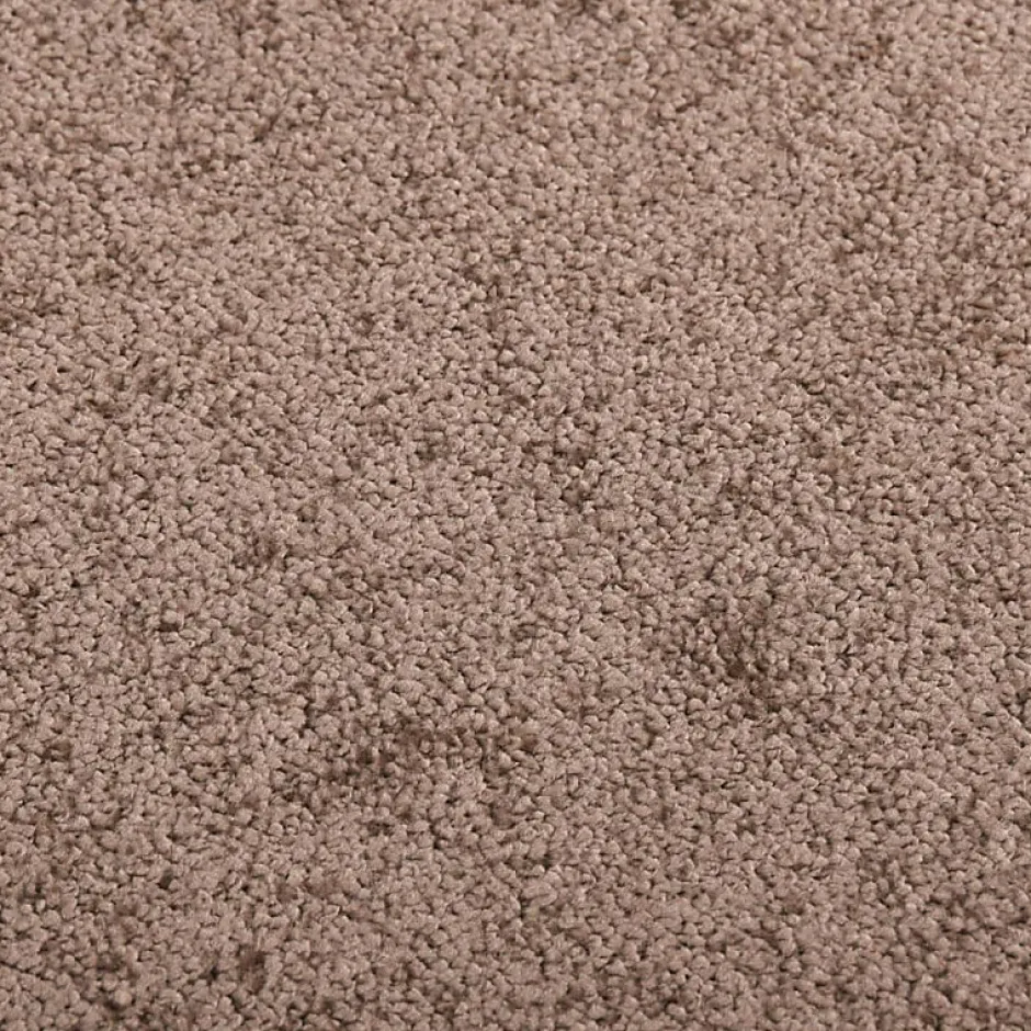 Paillasson Marron 40x60 cm^Vidaxl Outlet