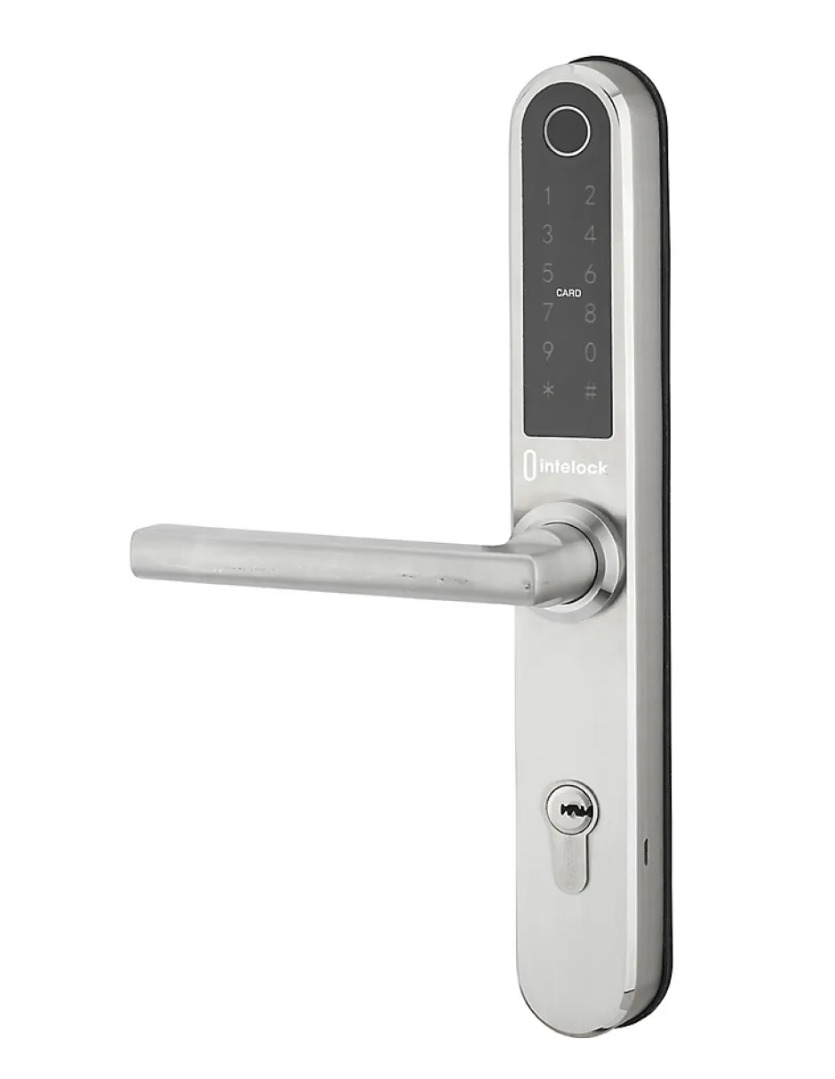 Paire de poignées connectées Intelock Multi, pour porte d'entrée, entr'axes 72mm, argent - INTELOCK^Thirard Discount