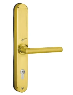 Paire de poignées connectées Intelock Multi, pour porte d'entrée, entr'axes 85mm, doré - INTELOCK^Thirard