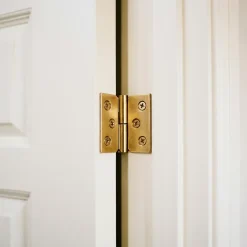 Paumelle laitonnée 40 x 50 mm gauche vendue par 2^QCL Discount