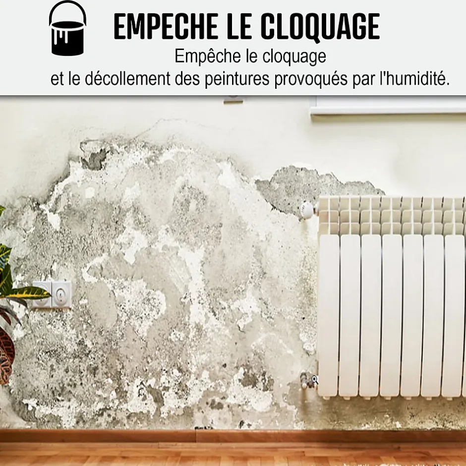 Peinture anti humidité mur humide salle de bain - ARCASCREEN - 2.5 L (jusqu'à 10 m²) --Arcane Industries Outlet