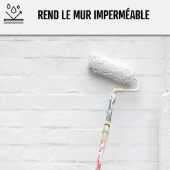 Peinture anti humidité mur humide salle de bain - ARCASCREEN - 0.75 L (jusqu'à 3 m²) --Arcane Industries Discount