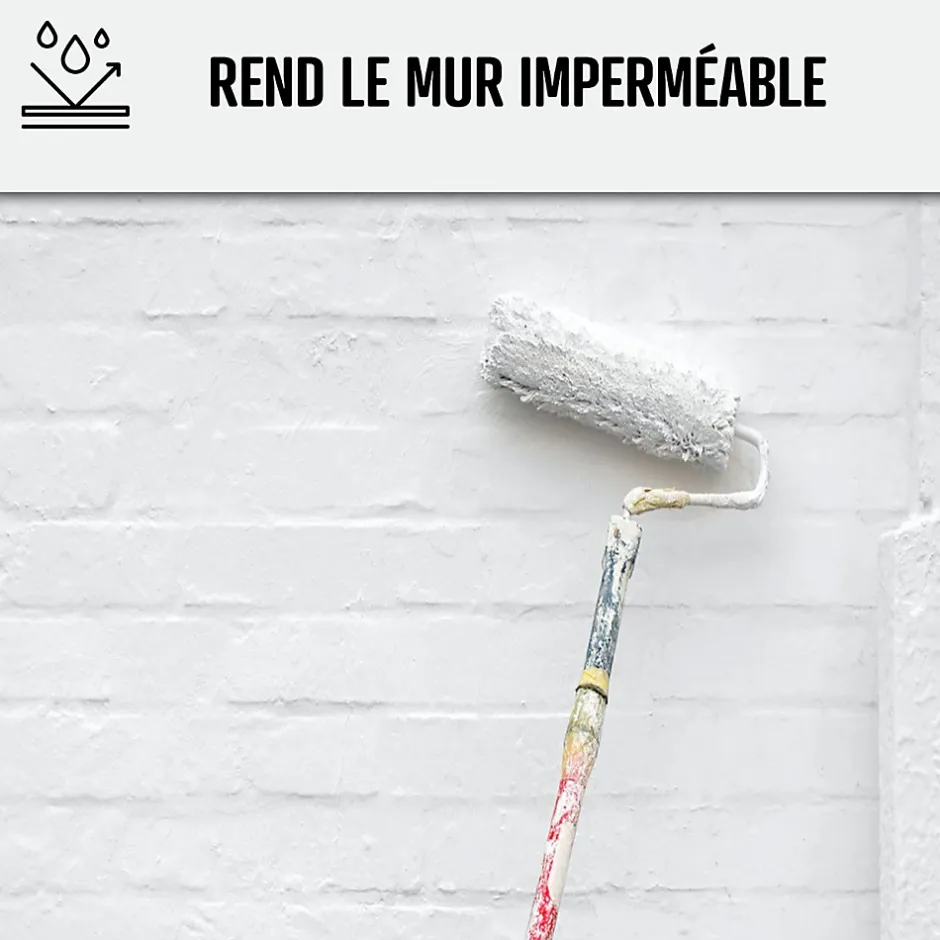 Peinture anti humidité mur humide salle de bain - ARCASCREEN - 0.75 L (jusqu'à 3 m²) --Arcane Industries Discount