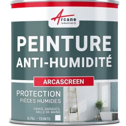 Peinture anti humidité mur humide salle de bain - ARCASCREEN - 0.75 L (jusqu'à 3 m²) --Arcane Industries Discount