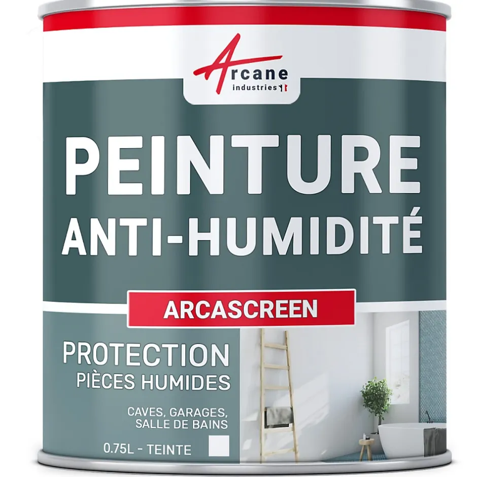 Peinture anti humidité mur humide salle de bain - ARCASCREEN - 0.75 L (jusqu'à 3 m²) --Arcane Industries Discount