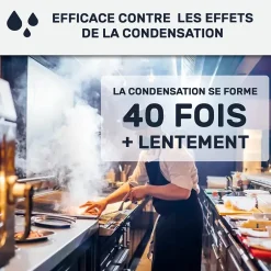 Peinture anti-condensation, anti odeur pour pièces humides Vert Réséda - RAL 6011 - 10 L -^Arcane Industries Discount