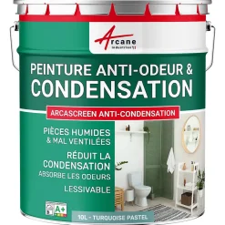 Peinture anti-condensation, anti odeur pour pièces humides Turquoise Pastel - RAL 6034 - 10 L -^Arcane Industries Best